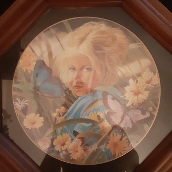 Decorative Collector Plates - Picture 4 of 6